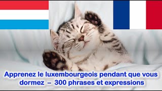 Apprenez le luxembourgeois pendant que vous dormez - 300 phrases et expressions (tous les niveaux)