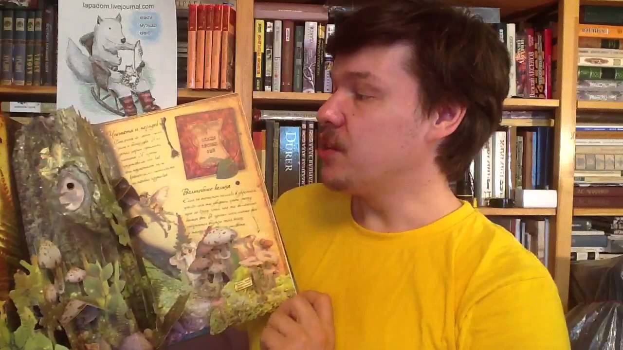 Королевство фей (How to Find Flower Fairies)