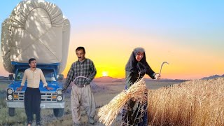 From collecting cement to loading straw; a busy day with Abbas and his family