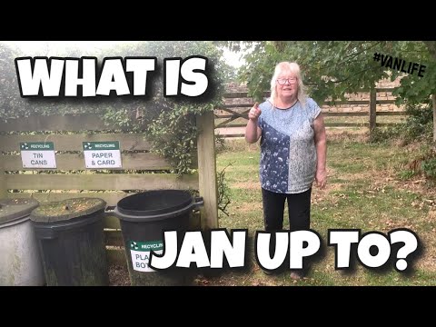 What is Jan up to? | Charlie Eats Poo at a STUNNING campsite location #vanlife