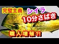 シイラさばき方【職人】が教えるシイラ釣り人必見シイラ刺身シイラ料理 10分で出来るように丁寧に解説