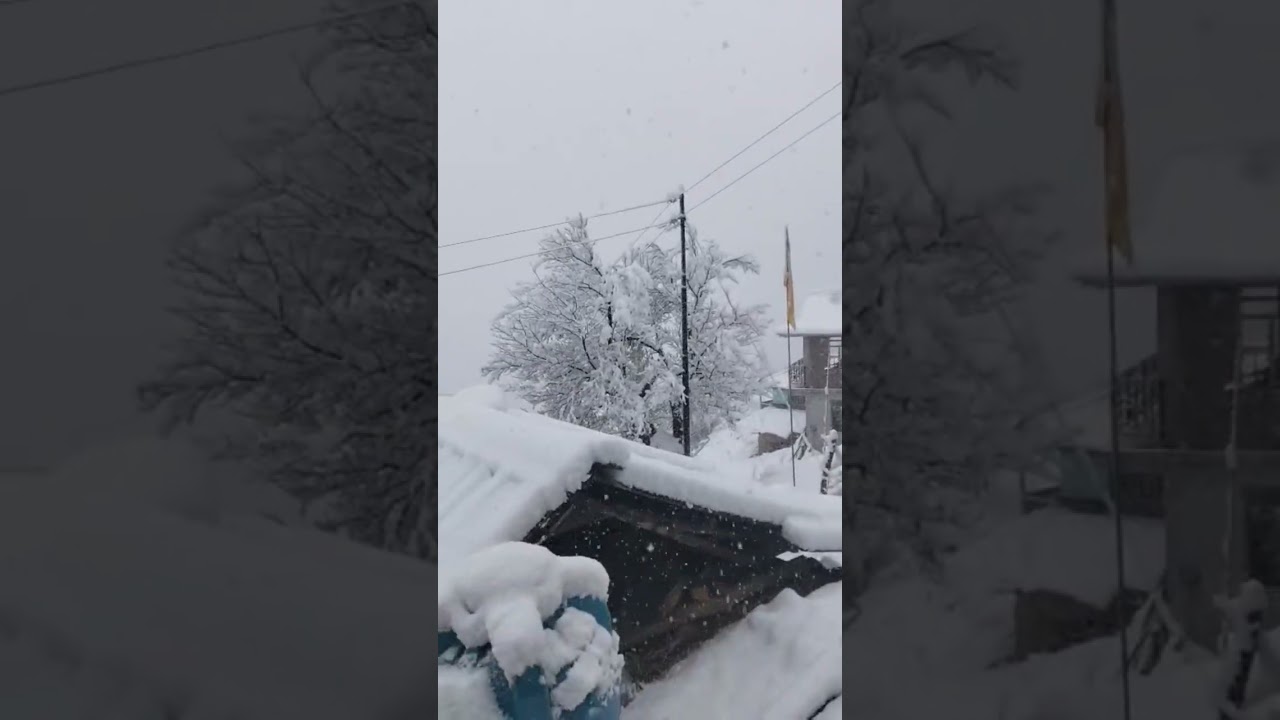 #happy snow 🌨️ fall 2026 🙏🏼village Dharla south 🧿