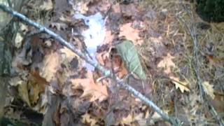Abandoned Graveyard in Scarborough Maine