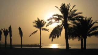 Download Lagu Ya Noor Alain - Wardy - Jazz - FirasJam MP3