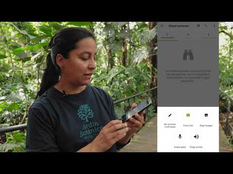 ¿Cómo usar la App iNaturalist?