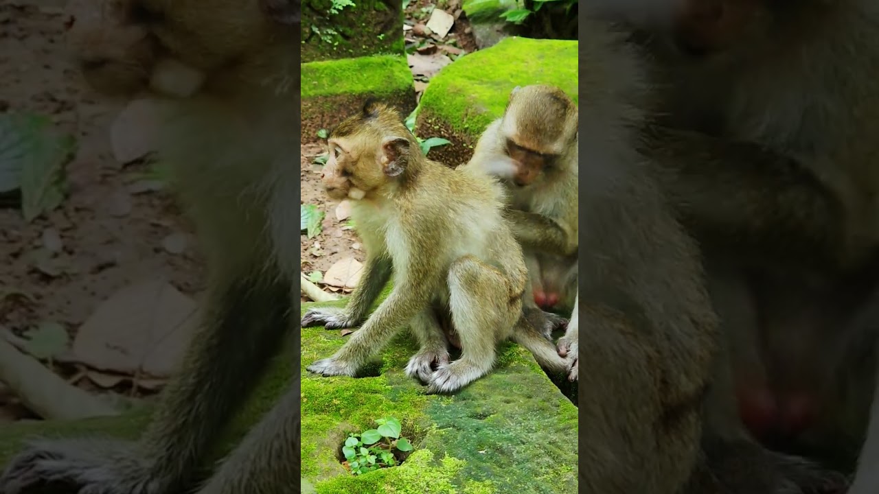 So said baby Junifer sick time #12