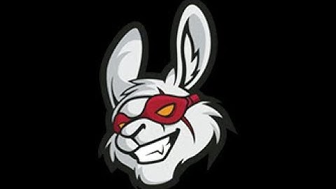 CSGO Bomb Exploit ft. Bunny CSGO