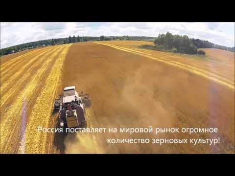 Конкурс Лицей 124