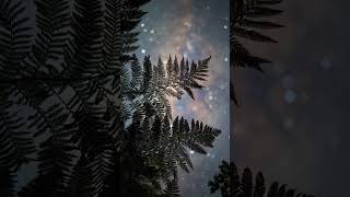 I explored New Zealand’s rain forests to film them at night 🤩🤩🌌 @NightLightsFilms