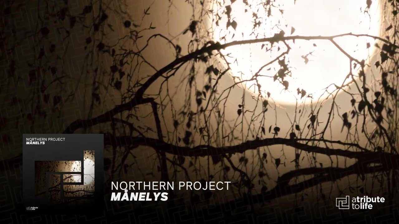 Watch Northern Project - Månelys on YouTube Watch Northern Project - Månelys on YouTube
