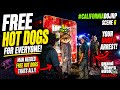 Free HotDogs Scene 6 CADOJRP