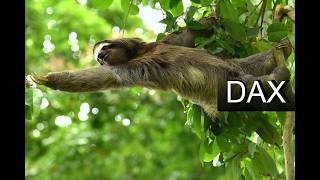 Dax Analyse 15.05.2026