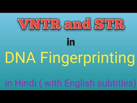 Vídeo: Diferença Entre VNTR E STR