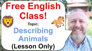 Let's Learn English! Topic: Describing Animals! 🐎🦁🐕 (Lesson Only)