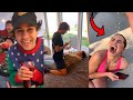 DAVID DOBRIK FUNNIEST INSTAGRAM STORIES COMPILATION! FT. Addison Rae, Natalie Noel, Vlog Squad