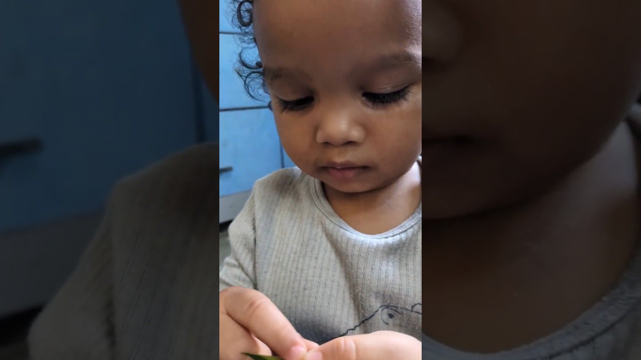 Animal sounds vs coriander seeds 😂 