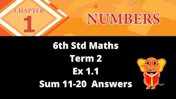 6th std Maths Term 2 Unit-1 Numbers Ex 1.1  Sum ANSWERS| TN samacheer class 6|Schoolless