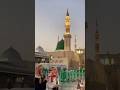 RozaRasool | Madina Sharif | Makkah Madina Trending Short #sabripaigham #shortsfeed #viralshort