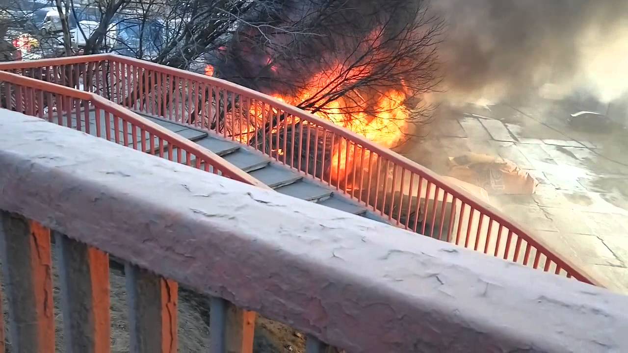 Сервис мытищи авто