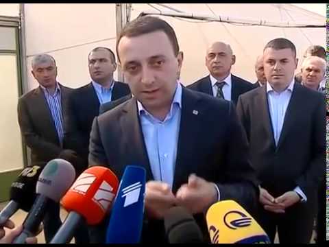 სასათბურე მეურნეობის დათვალიერება ხობში