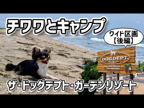 【犬連れキャンプ】千葉県：ドッグデプト・ワイド区画”後編”☆地元食材に舌つづみ♪パパとかけっこ♪愛犬と一緒にランチ♪→さかがみ家コラボイベントへGO！