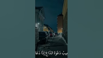 لا اله الا الله 🤍 #quran #تلاوات #تلاوة #تلاوة_خاشعة #تلاوة_هادئة #قرآن #قران #قران_كريم