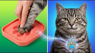 Tiny Paw DIY: Luxury Comfort for Your Favorite Cat 🐱✨