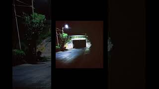 Bridge Worm | skip to the near end if its long | #trevorhenderson #shortvideo #fypシ゚viral