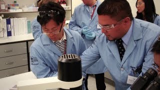 LifeLab™ Pluripotent Stem Cell Training Workshops