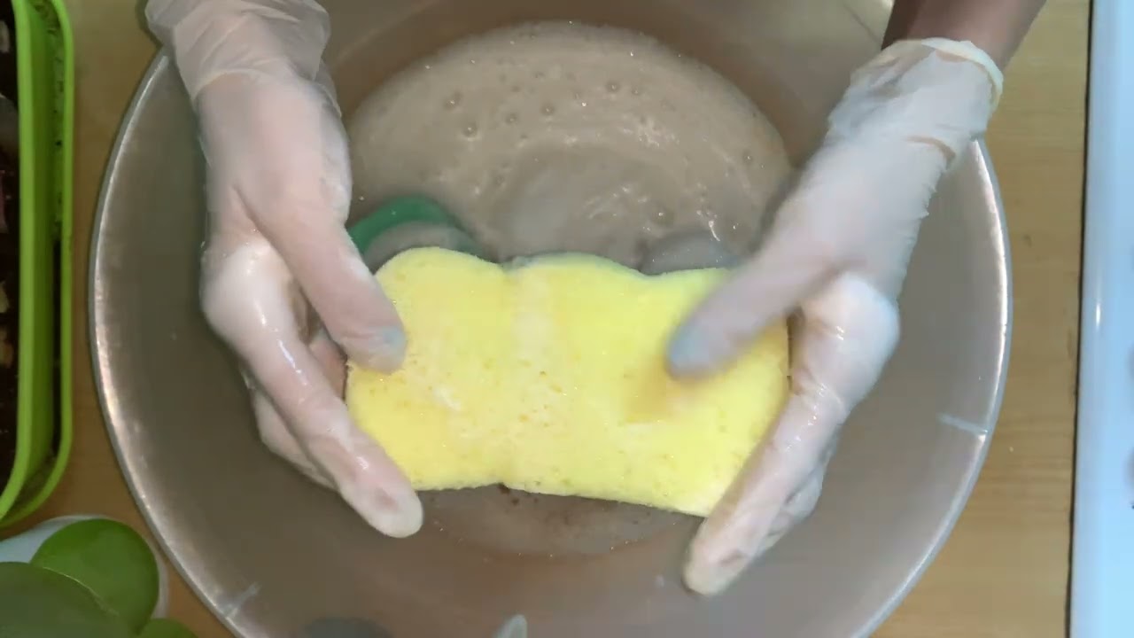 Pinemix and new sponges ⭐️