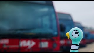 Can The Pigeon Drive the Bus? | Magik Theatre's 'Don't Let the Pigeon Drive the Bus! The Musical!'