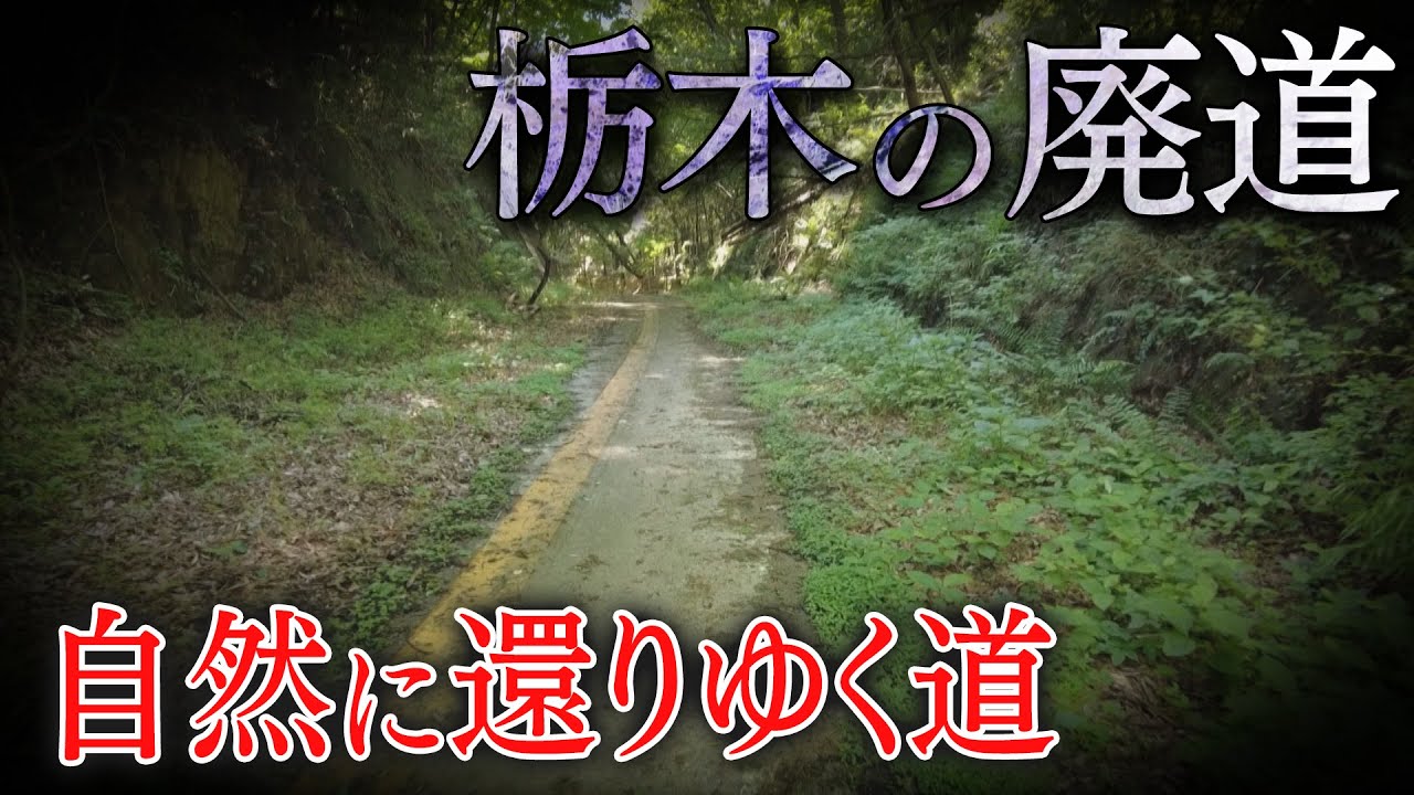 【栃木の廃道】自然が道を取り返す！？ 明治･大正･昭和のトンネルも！