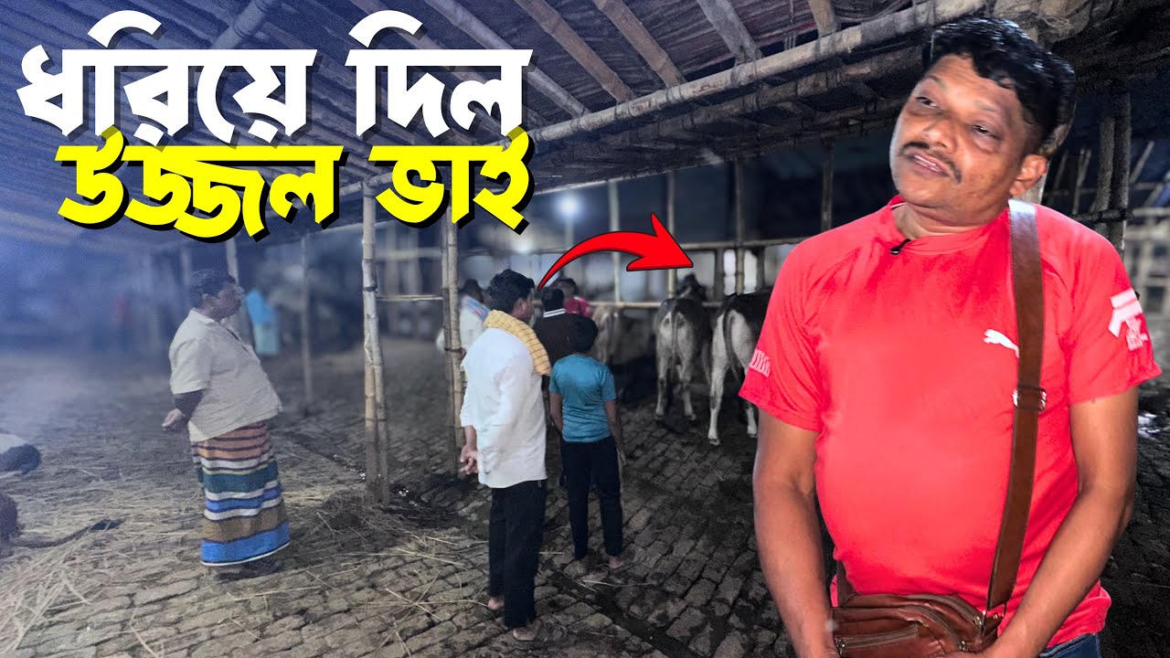 হাঁসিল ঘর থেকে ২ কালো ষাঁড় ডিল! 😲 উজ্জ্বল ভাইয়ের কাকতালীয় কারবার 🔥 | Gabtoli Haat 25 February 2026