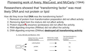 Evidence for DNA as the Genetic Material
