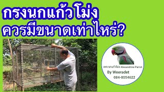 กรงนกแก้วโม่งควรมีขนาดเท่าไหร่? @Wk-farm