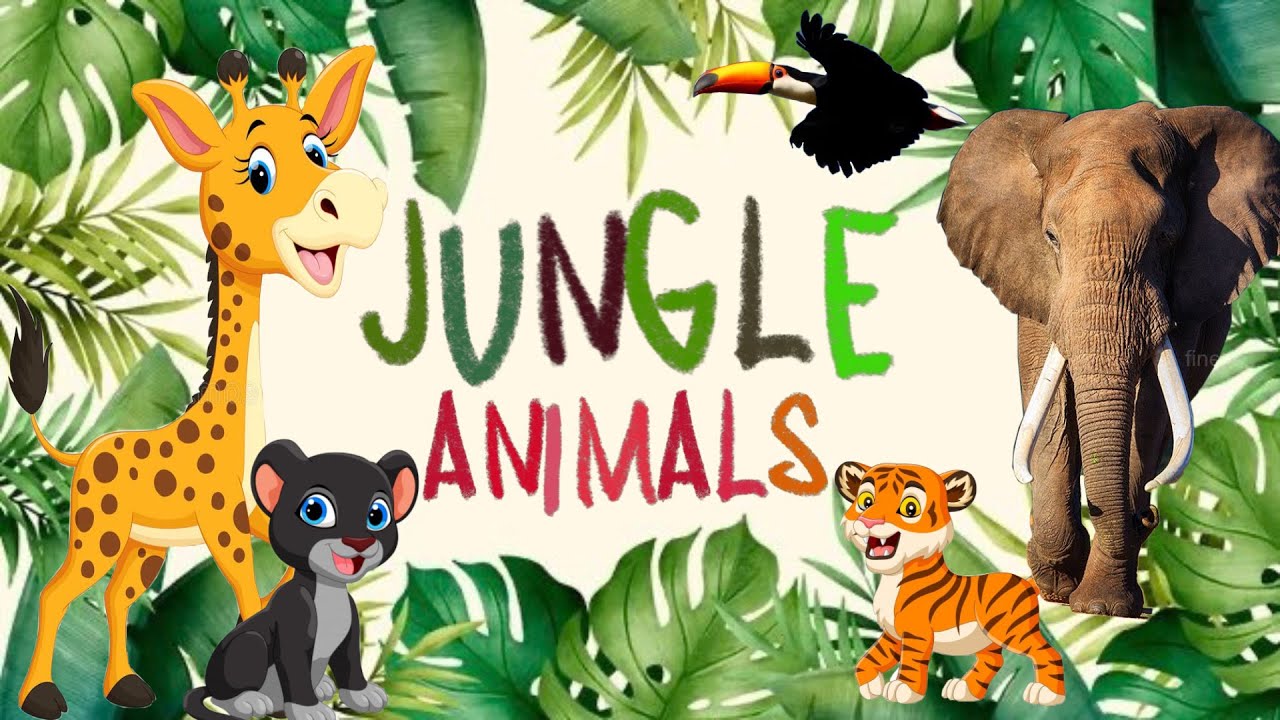 Who Lives In The Jungle Jungle Animal Names And Sounds For Kids animals-learning-hd-animals-sounds-for-children-learning-wild-animals