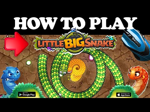 Little Big Snake: Play Little Big Snake for free