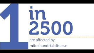 Mitochondrial Disease? Genetics? Daily Dose Q and A; Step 1