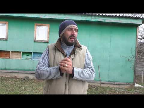 Контрольный улей спустя