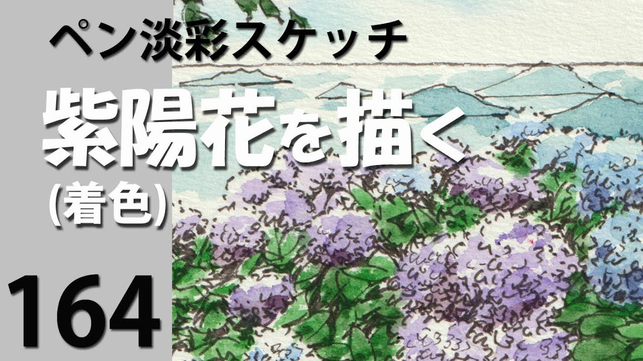 水彩画あじさい 164ペン水彩スケッチ 紫陽花を描く(着色) - YouTube
