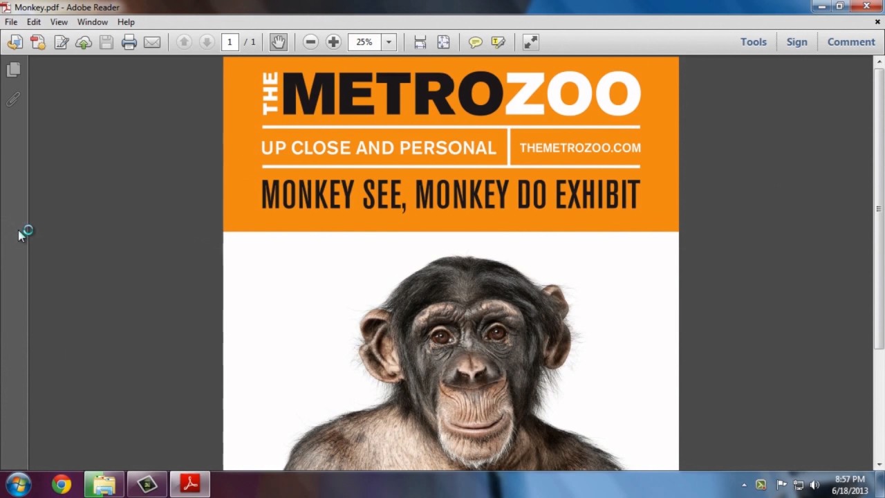 Epson SureColour Printing onto Poster Board - YouTube