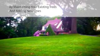 Tree Removal West Caldwell- Dujets Tree Experts, West Caldwell Tree Removal.