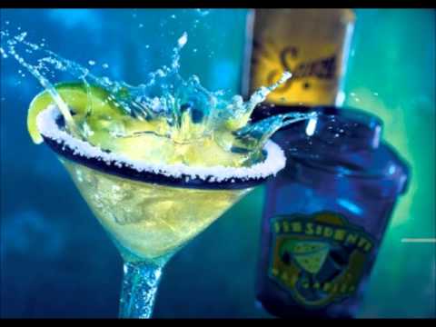 Presidente Margarita Recipe | Besto Blog