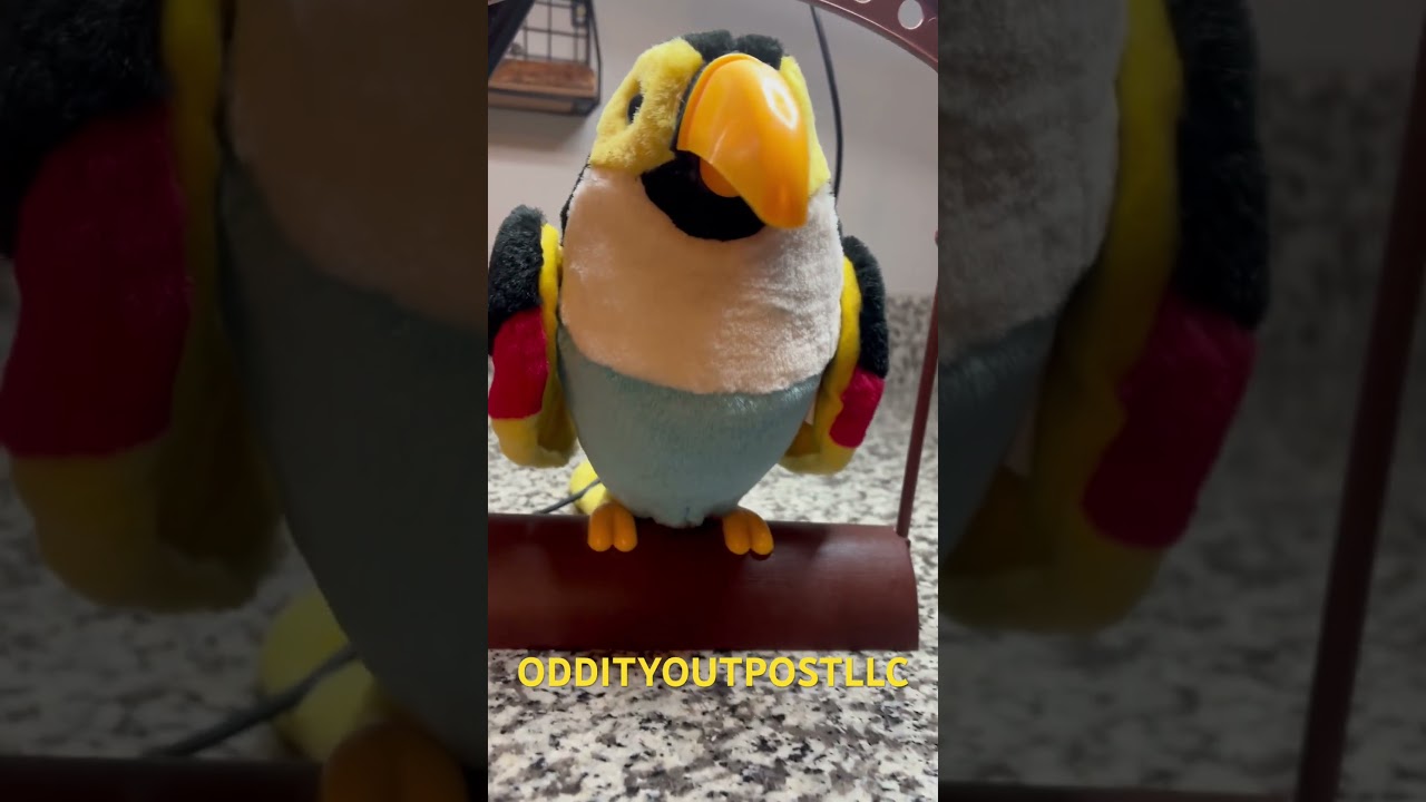 Talking toucan parrot bird demo / test ￼