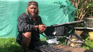 Root Trainers - A Genius Kiwi Invention