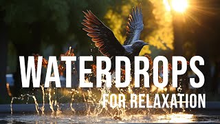Aqua Serenade: Pushkin Monument's Dazzling Fountain. Monument's Delightful Fountain Display