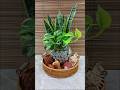 6 Houseplants Idea in Glass Vase Decor🌱 #snakeplant #pothosplant #moneyplant #houseplantlover Mp3 Song