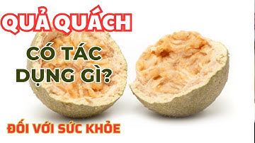 Trái Quách Có Tác Dụng Gì? Khám Phá 10 Tác Dụng Của Quả Quách Đối Với Sức Khỏe