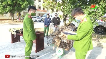 Cảnh giác với tội phạm trộm cắp tài sản | NinhBinhTV