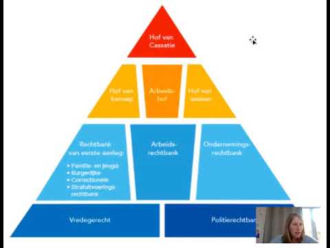 Video: Procedure Voor Het Indienen Van Een Cassatieberoep